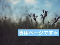 ポメころび様専用ページです＊