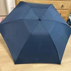 Item thumbnail for item 5703e90b-2022-475a-9369-c2282fa49bab