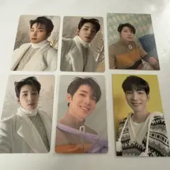 SEVENTEEN あいのちから トレカ ウォヌ