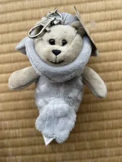 Item thumbnail for item 16199c1d-6f80-4f72-9cd1-72b6f4295e7f