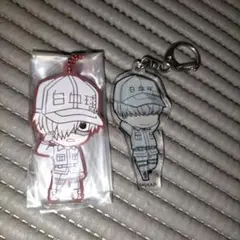 はたらく細胞　白血球　ラバーストラップ　 アクリルキーホルダー　2点