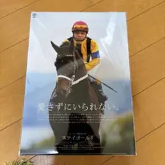 jra ヒーロー列伝　ステイゴールド　B2 非売品 jra ヒーロー列伝 ステイゴールド B2 jra ヒーロー列伝 ステイゴールド