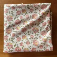 Item thumbnail for item 50511483-da25-4f38-b249-ca7bdae59e76