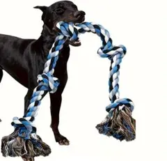 Item thumbnail for item 10d690f0-793c-4833-bde9-faf678d31e07