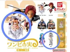 ワンピの実　第二十二海戦　ニカルフィ　ペル