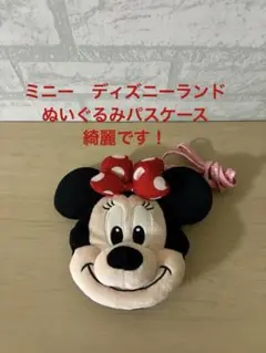 ミニーマウス　ぬいぐるみパスケース　ポシェット　綺麗です！ディズニーランド