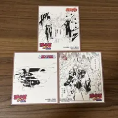 ジャンプフェア2025 アニメイト ミニ色紙 銀魂 ナルト ブリーチ