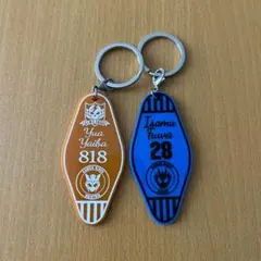 仮面ライダーバルカン＆バルキリー ナンバーキーホルダーセット