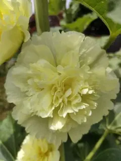 ちぃくん様 リクエスト 3点 まとめ商品