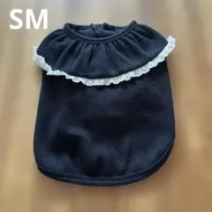 Item thumbnail for item 10195e5a-9c51-4929-8a0f-e24a6941c9af