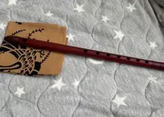 Item thumbnail for item 22ec08be-6da7-468c-a16d-e9b09ed01b0a