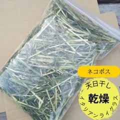 【お試しサイズ】2026年 千葉県産 天日干し 乾燥イタリアンライグラス 80gのサムネイル