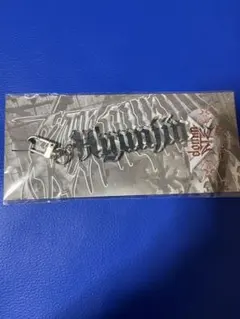 Stray Kids dominATE VR ネーム キーホルダー ヒョンジン