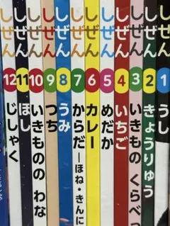 しぜん　全12巻セット　フレーベル館