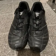 Item thumbnail for item 664eed08-bcc2-462e-8316-dbde9b46a917