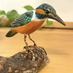 2026年最新】翡翠鳥の人気アイテム - メルカリ