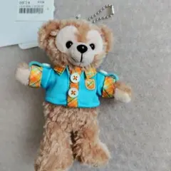 ディズニー　ダッフィー　ワンダルフレンドシップ　ぬいぐるみバッジ