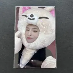 StrayKids アイエン トレカ MAXIDENT JYP 特典 未開封