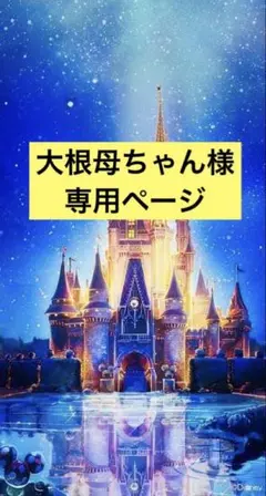 付属品等