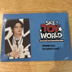 Stray Kids TOY WORLD ライブフォトカード リノ トレカ