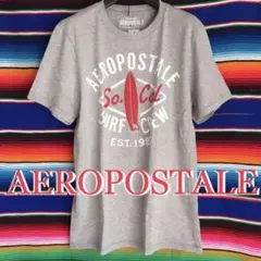 AEROエアロポステール US限定サーフクルーデザインＴシャツM gry