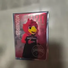 Item thumbnail for item 2931dffa-78bf-4110-9957-94d59f36bd33