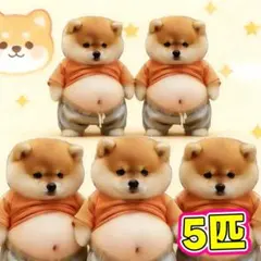 お腹シール ぷにぷに 立体シール 柴犬 3D おへそ 犬 ぷくぷくシール