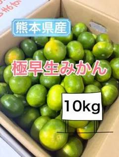 和歌山県産 完熟南高梅‼️L〜M混合‼️3kg みかんキング 家庭用 - メルカリ
