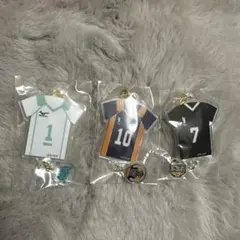 ハイキュー アクリルキーホルダー 烏野、青葉城西、稲荷崎