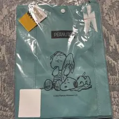 Item thumbnail for item cc0ed101-78b5-4512-975b-fb7091a52b87