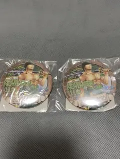 Item thumbnail for item 138ab28d-fa3b-4628-a202-00991229b1d3