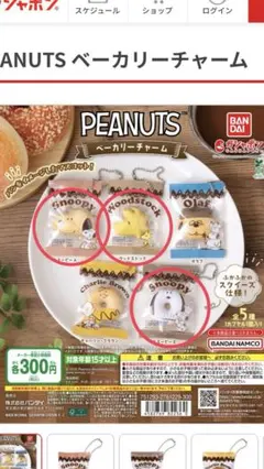 PEANUTS ベーカリーチャーム　スヌーピー ABウッドストック３種類