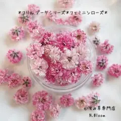 かすみ草　＊フェミニンローズ＊60粒＋α フリルブーケシリーズ　ドライフラワー