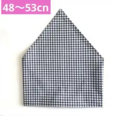 Item thumbnail for item 1da17906-132a-4fd5-8ac0-1349331fa096