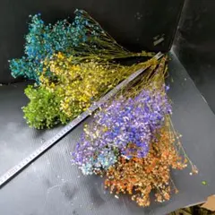 No5600色染めカスミ草のドライフラワー 6束セット
