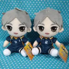 ハイキュー!! オリジナルぬいぐるみ vol.4 菅原孝支 ２品セット