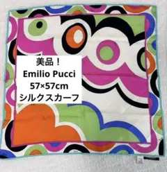 2025年最新】emilio pucci スカーフの人気アイテム - メルカリ