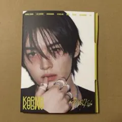 StrayKids KARMA リノ　アコーディオン