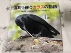 使用工具的烏鴉故事