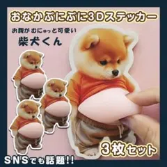 ぷにぷにおなかシール 柴犬 3D 立体 ステッカー 3枚 ぷっくりお腹 いぬ