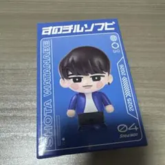 【Snow Man Dome Tour 2025-2026 ON】すのチルソフビ