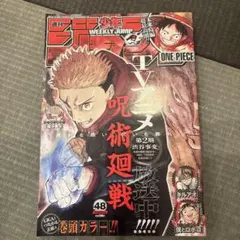 週刊少年ジャンプ 2000年16号 ワンピース表紙 巻頭カラー - メルカリ