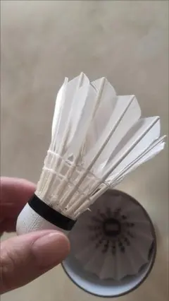 Item thumbnail for item 5cf84999-5557-469a-8ceb-3132759324ed