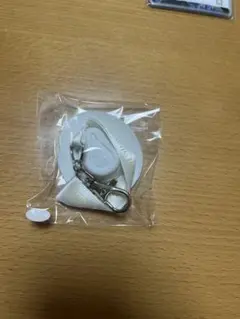 Mrs. GREEN APPLE ホワイトラウンジ　ハットキーホルダー