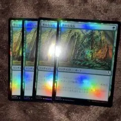MTG 豊かな成長/Abundant Growth 日本語　foil 4枚のサムネイル