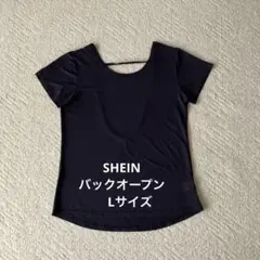 Item thumbnail for item bf8e6574-c485-4b24-9ccf-bd28db6bd6cd