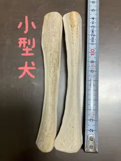 鹿の角　四つ割　68番のサムネイル