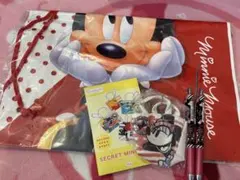 ディズニーストア ラッキーバック 福袋 ミニー