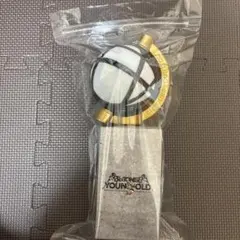 SixTONESペンライト