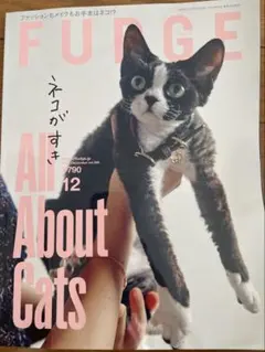 FUDGE ALL About Cats 12号